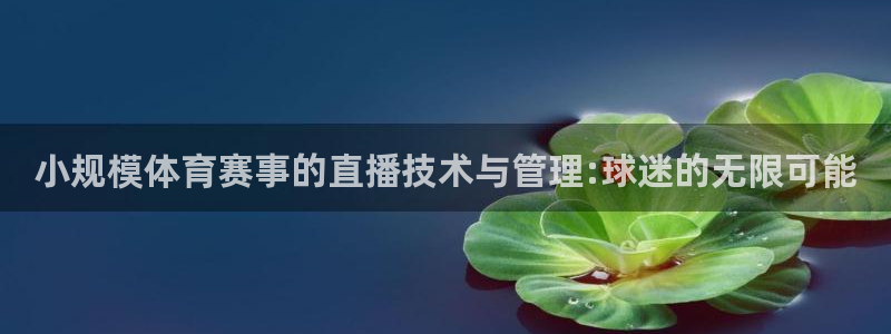 三牛娱乐下载：小规模体育赛事的直播技术与管理:球迷的无限可能