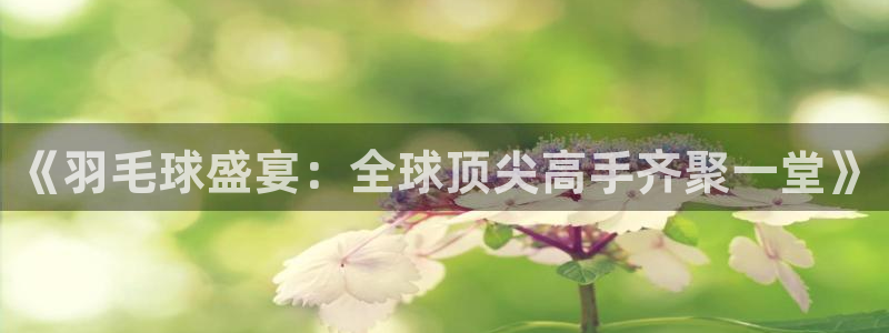 三牛娱乐app官网入口最新版本：《羽毛球盛宴：全球顶尖高手齐聚一堂》
