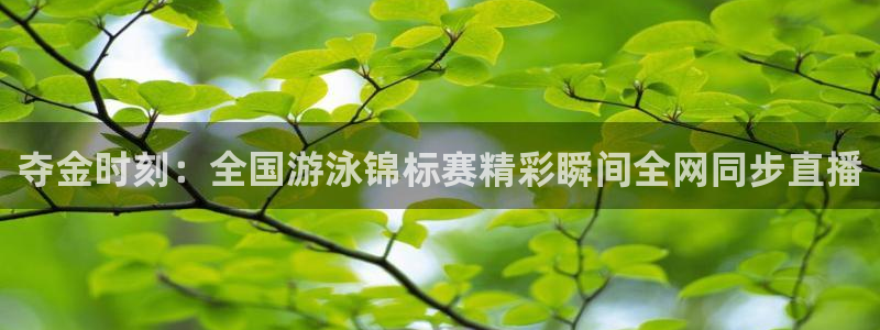 三牛娱乐注册：夺金时刻：全国游泳锦标赛精彩瞬间全网同步直播