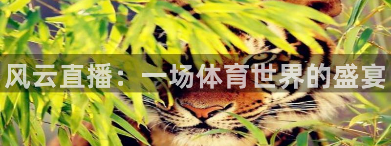 三牛娱乐：风云直播：一场体育世界的盛宴