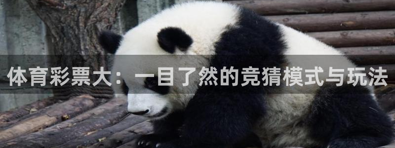 三牛娱乐链接：体育彩票大：一目了然的竞猜模式与玩法