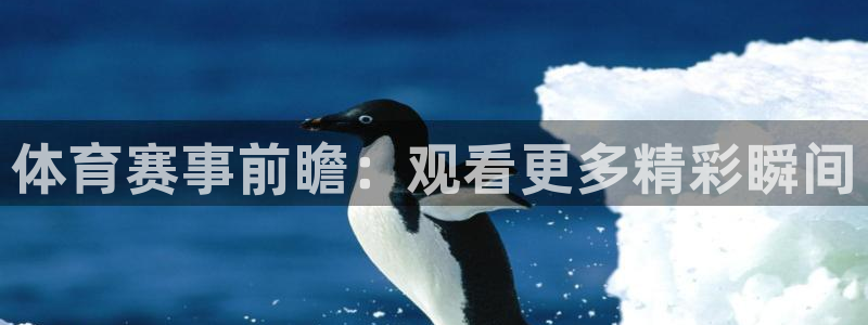 三牛娱乐入口：体育赛事前瞻：观看更多精彩瞬间