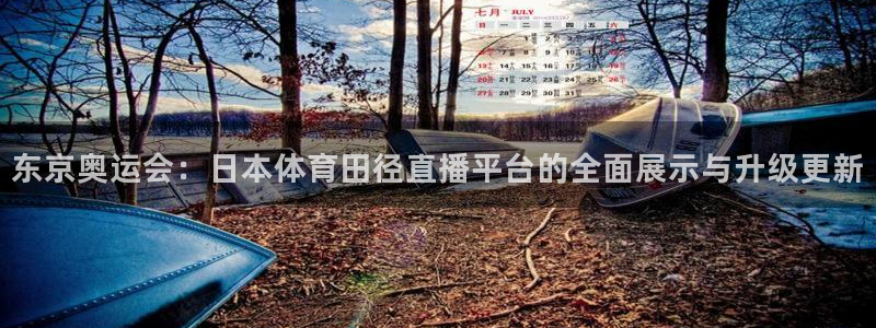 买三牛：东京奥运会：日本体育田径直播平台的全面展示与升级更新