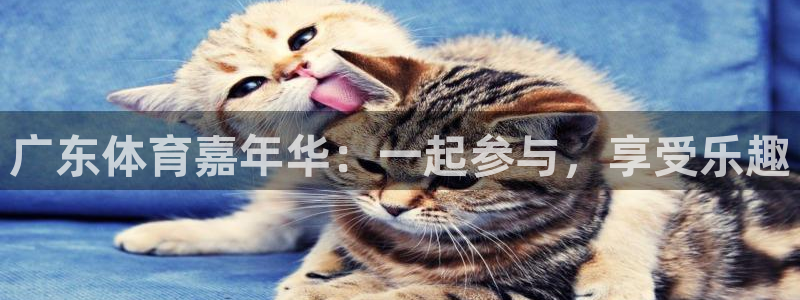 三牛娱乐网址：广东体育嘉年华：一起参与，享受乐趣