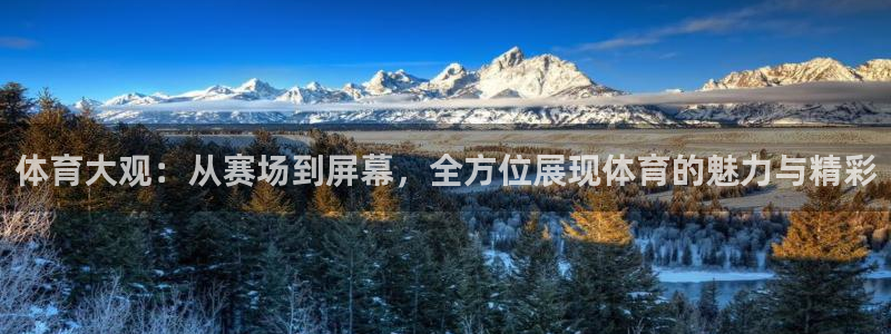 三牛官网：体育大观：从赛场到屏幕，全方位展现体育的魅力与精彩