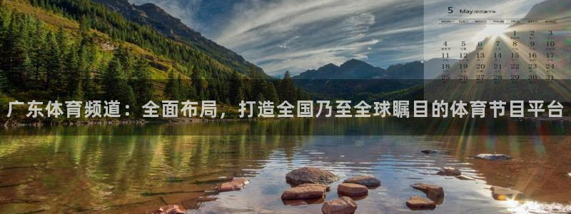 买三牛：广东体育频道：全面布局，打造全国乃至全球瞩目的体育节目平台