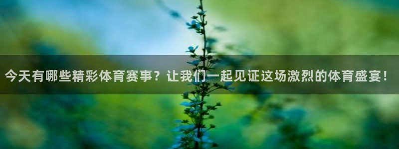 三牛娱乐网址：今天有哪些精彩体育赛事？让我们一起见证这场激烈的体育盛宴！